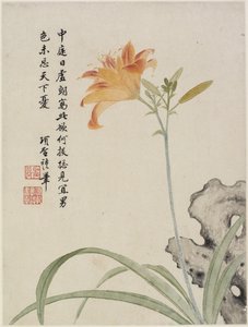 Taglilie aus einem Blumenalbum mit zehn Blättern, 1656 von Shengmo Xiang