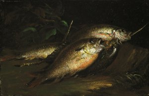 Fisch