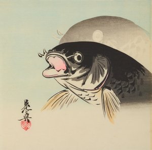 Zwei Fische