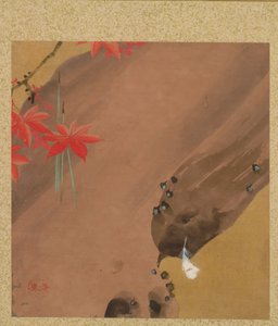 Blatt aus dem Album der saisonalen Themen: Motten, 1847 von Shibata Zeshin
