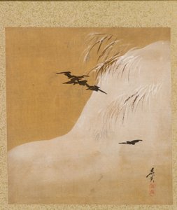 Blatt aus dem Album der saisonalen Themen: Neue Farne, 1847