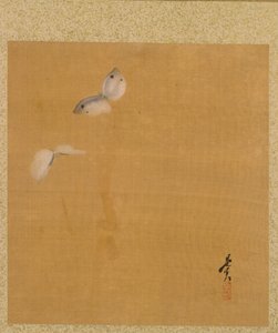 Motten aus dem Album der Gemälde des Ehrwürdigen Zeshin