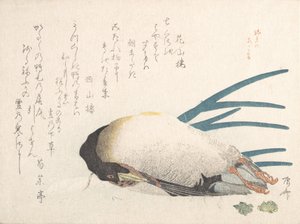 Sammlung Frühlingsregen Harusame shu, Bd. 1: Ente und Schalotten