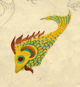 Fischillustration (ca. 1950) von Shirley Markham