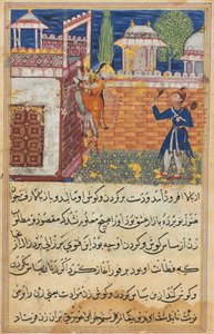 Seite aus Geschichten eines Papageis Tuti-nama: Achte Nacht: Die betrügerische Frau kehrt zurück..., 1558-1560 von Shravana