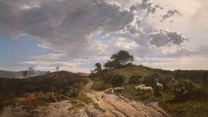 Angenehme Weide