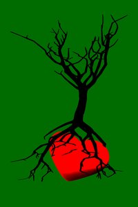 Herz des Baumes