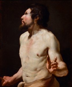 Studie eines Torsos aus der Schule von Simon Vouet (1590-1649)