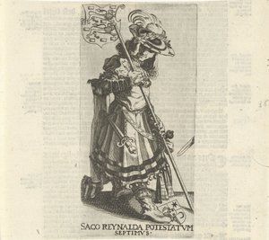 Saco Reinalda