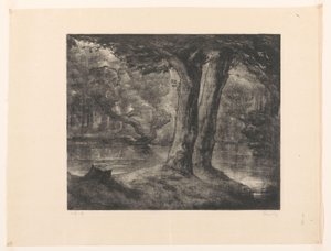 Wasser im Wald von Simon Moulijn (signed by artist)