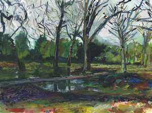 Überschwemmung, Richmond Park