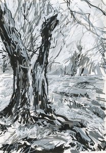 Alter Baum, Richmond Park