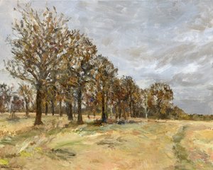 Wald, Richmond Park Nr. 6, 2022 von Simon Neville