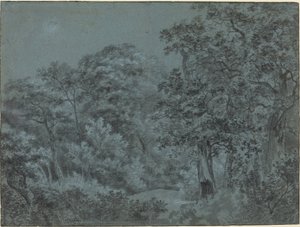 Im Haager Wald von Simon de Vlieger