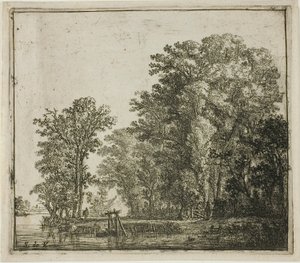 Wald in der Nähe eines Kanals von Simon de Vlieger