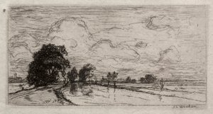Überflutete Landschaft mit Bäumen
