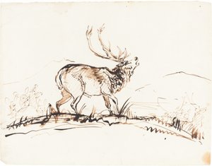Ein brüllender Hirsch