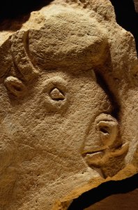 Basrelief-Skulptur eines Bisons, Kalkstein ist sechzehntausend Jahre alt