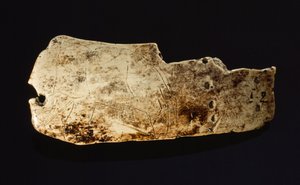 Das Bild eines Mammuts ist auf einem prähistorischen Mammut-Elfenbein geschnitzt von Sisse Brimberg