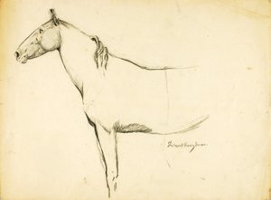 Pferd
