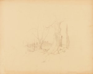 Landschaft von Solon H. Borglum