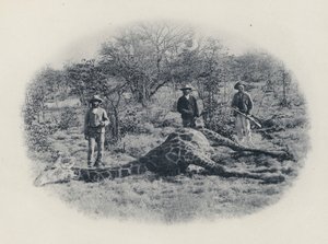 Großwildjagd im Transvaal