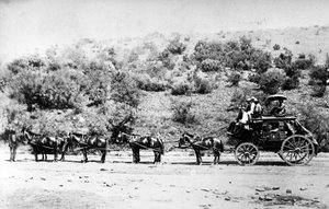 Postkutsche fährt in Pretoria ein, ca. 1895 von South African Photographer