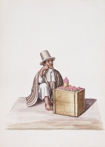 Typen und Kostüme von Neu-Granada von South American School