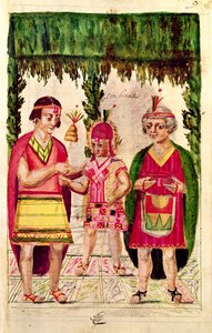 Illustration von Cincheroca, aus 