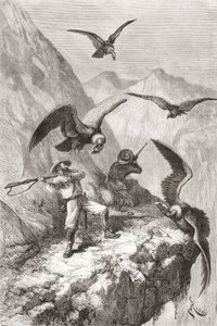 Édouard François André und Begleiter werden von Kondoren in der Nähe von Calacali, Provinz Pichincha, Ecuador, während seiner botanischen Expedition in den Ausläufern der Anden 1875-76 angegriffen von Spanish School