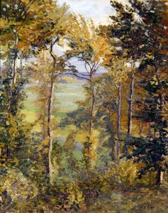 Waldlandschaft bei Tibermont, Neuville Les Dieppes