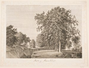 Partie von Møens Klint von Søren Henrik Petersen