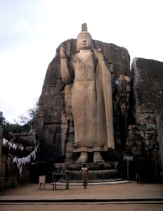 Der große Buddha von Avukana. Sri Lanka. 5. Jahrhundert von Sri Lankan School