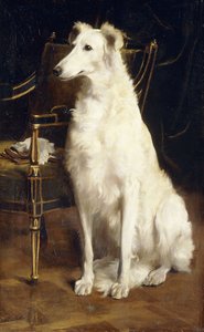 Ein Borzoi neben einem Stuhl