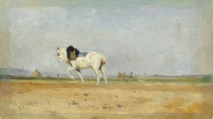 Ein Pflugpferd auf einem Feld