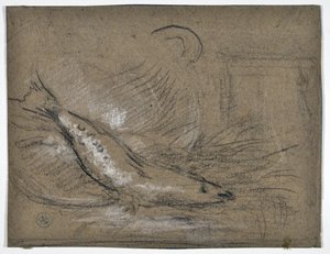 Fischstudie