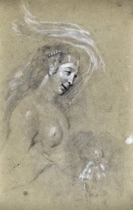 Studie eines Frauenprofils (Zeichnung)