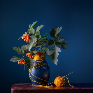 Weißdornbeeren und Garn