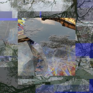 Fragmentierte Baumreflexion von Stefan Fransson