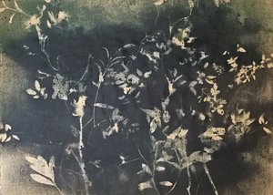 Dunkle botanische Silhouetten