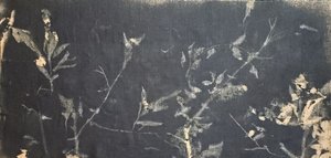 Dunkle botanische Studie