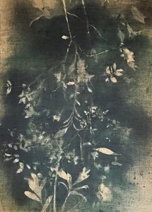 Dunkle botanische Studie