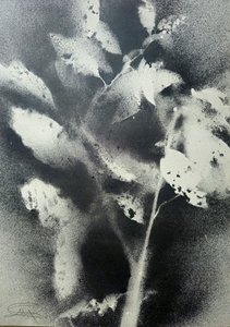Monochrome Botanische Studie