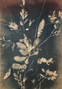 Vintage Blaue Botanicals