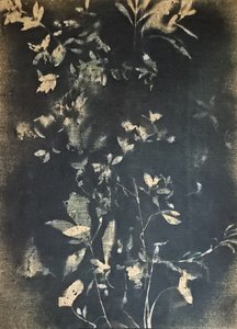 Vintage botanische Blätter