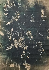 Vintage botanische Silhouetten