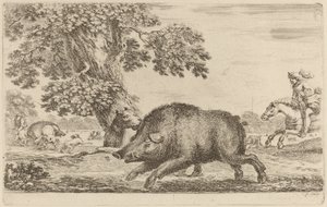 Wildschwein läuft nach links von Stefano della Bella