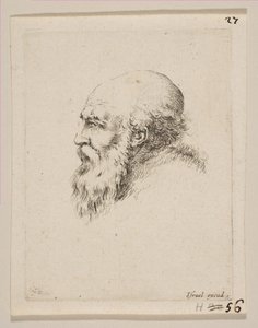 Kopf eines kahlen und bärtigen alten Mannes im Profil, aus Verschiedene Köpfe und Figuren Diverses..., 1650