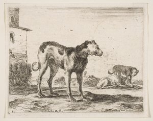 Platte 11: Hunde, aus Verschiedene Tiere, ca. 1641 von Stefano della Bella