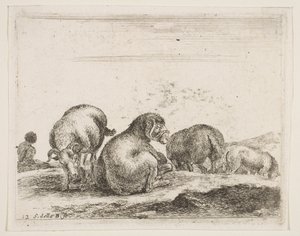 Tafel 12: Schafe und Widder auf einer Weide, aus Verschiedene Tiere, ca. 1641